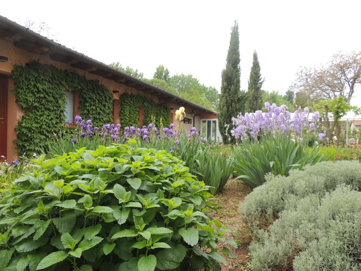 Resort Villa Manin Passariano Exterior photo