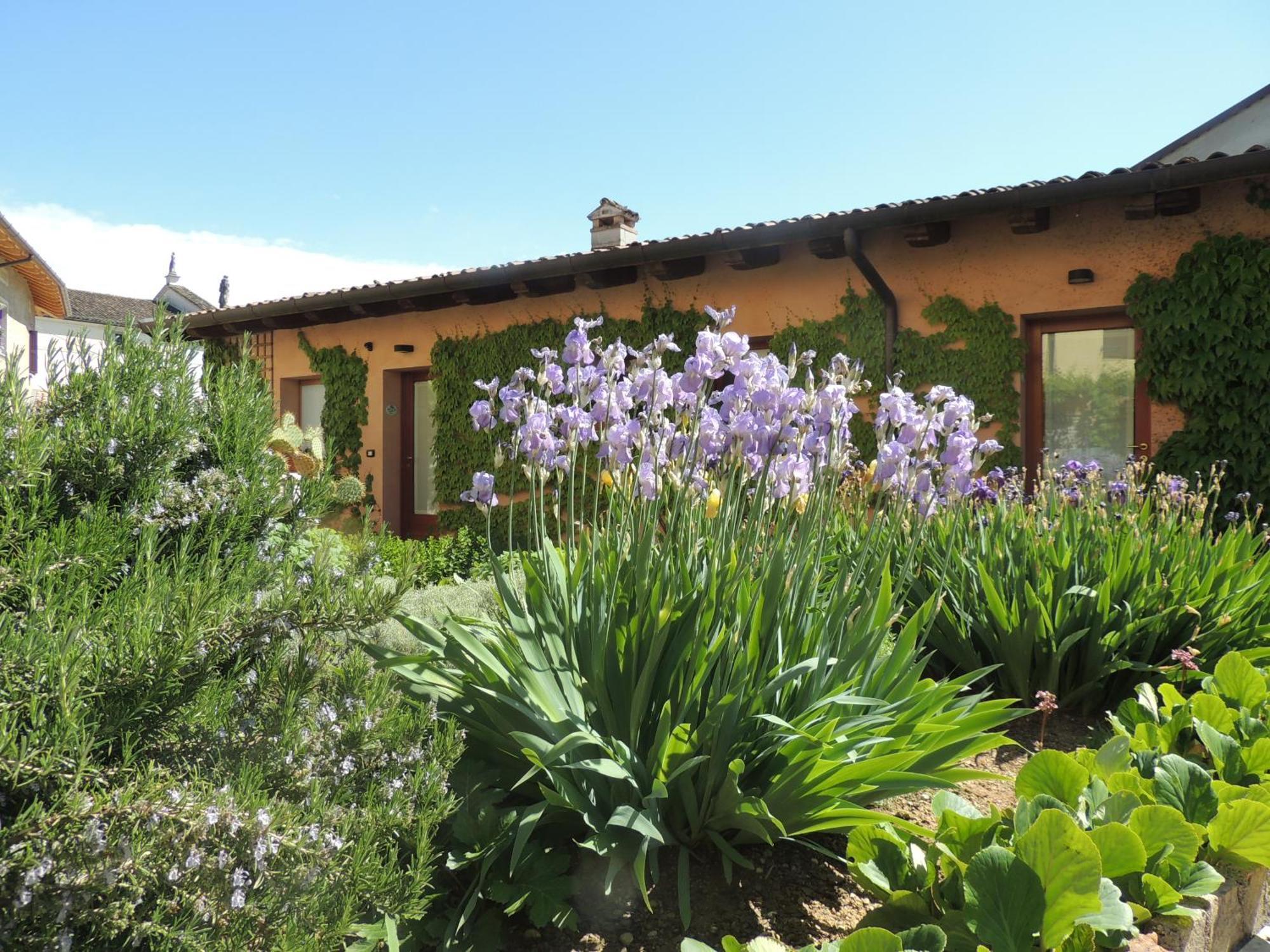 Resort Villa Manin Passariano Exterior photo